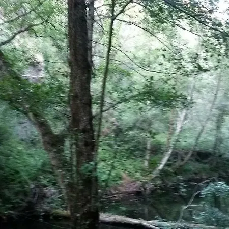 Casa Portela *